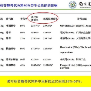 ��ĸ�����������~����п�����������~��