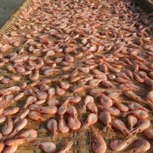 ���ږ|���r���r�������ϝq