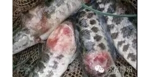 ���~������߀���з��η���