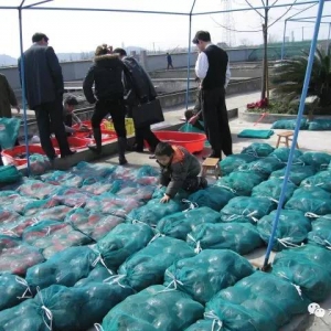 ���ļ��~�a�Iԓ�ֺ�ȥ�Ώģ�