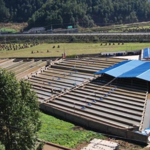 12���g��3����ˮ�~�Bֳ���أ����F����r�^�|����������ʲô��