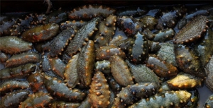 ���B�����r�񷴏� ��ُ�r�q�ĳɶ�