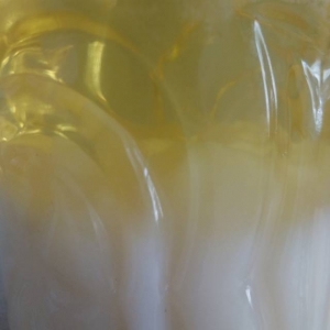 ��������Ʒ�|��ϵö���ͬ��֬�����Լ��䷽ʹ�����c