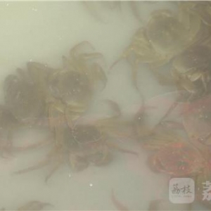 ���K���ݣ��N���M��β ���lз�r���߸�