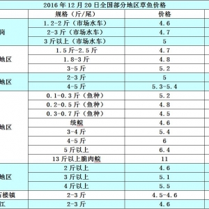 12��20�ղ��~���a�~���S��~����з������߅�r