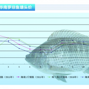 �_���~�����Qӆ�α��� ���~�r�ԾS��������ˮ�aǰ�ء�2016��12�¿��Ј�څ��