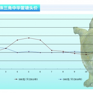 ���~��11���M�л��І����E�󡪡���ˮ�aǰ�ء�2016��12�¿��Ј�څ��