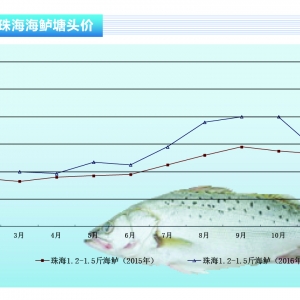 ���|���~�r���ַ���С���½�������ˮ�aǰ�ء�2016��12�¿��Ј�څ��