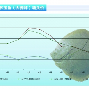 �����ң��~�r������ϝq ���ڃr���Կ��ڡ�����ˮ�aǰ�ء�2016��12�¿��Ј�څ��