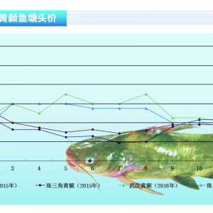 �S��~���~�r�S��������ˮ�aǰ�ء�2016��12�¿��Ј�څ��