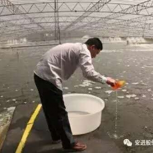 �B�r�Ҳ��ɹ����Ƿ����������µ��`�^��