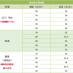 2016��12��24�������ǵ؅^�������^�r