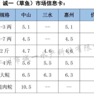 12��25�ղ��~/�_���~/�����|/���~�Ј��r(ji��)������