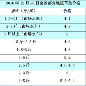 12��26�ղ��~���a�~�������|����з������߅�r(ji��)