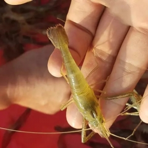 ���rǰ���H�����ã���ԓ���ȥ�B��