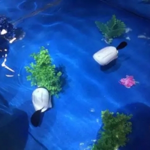 ����ʿ�u�~���QҪ����ˮ�°���