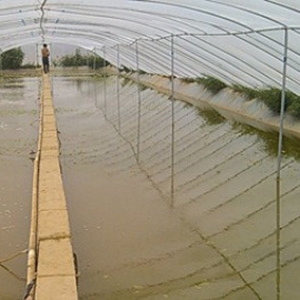 Ԕ����|�����׌��rС���Bֳģʽ�����c��