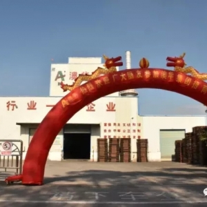 2016����ݰ��A��Ͽ��N��ͬ�����L40%��2017���AӋͻ��16�f��