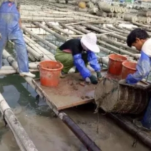 �����@Щ�h���������ˣ������Bֳ�ɹ��˴��