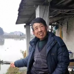 5�������|�~���Ŀ�����10�fԪ����������5000Ԫ������