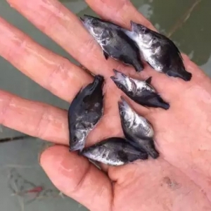 1��19��ȫ�����~��Ҫ�Bֳ�^������r