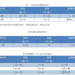 2017��С���r���m(x��)���� �_����?q��)���һ���y��