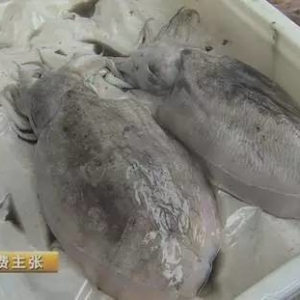 ���~�� ���~��ī�~߀��ɵɵ�ֲ���������@����܌W�����R