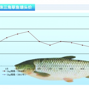 ���~���AӋ2��С���~�r�������߸�څ�ݡ�����ˮ�aǰ�ء�2017��2�¿��Ј�څ��