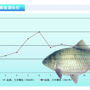 �a�~��ȫ�����в�ͬ�̶Ƚ��r������ˮ�aǰ�ء�2017��2�¿��Ј�څ��