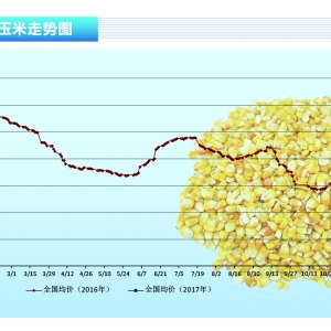 ���ף��|���������\�e�O �V�|���׎�扺�����p������ˮ�a(ch��n)ǰ�ء�2017��2�¿��Ј�څ��