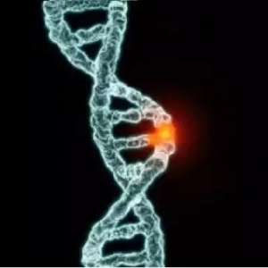 �°l�F���؄������~�a�I���ļ��������׼����K����ͻ����