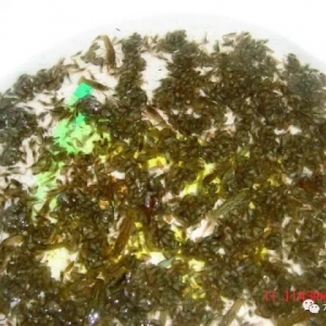 С���r3�NҎģ���˹���ֳ�������似�g����