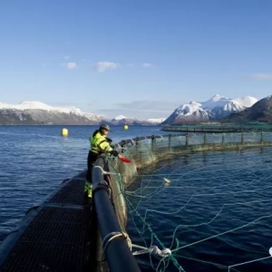 ���H�Ј��������~������ʢ���r����m(x��)����