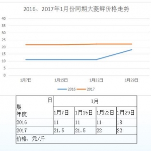 �������������҃r���߄݌���