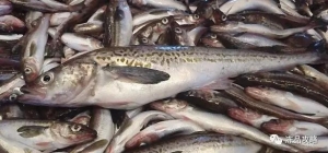 �S���M�L���࣬�r���?q��)����? class=