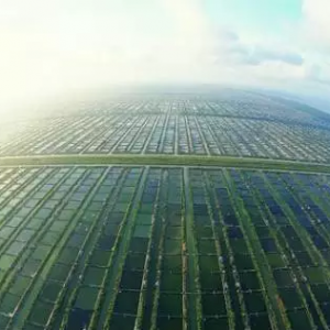 �����������B�r������