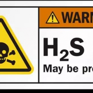 ���r�Bֳ�ġ��o���֡������򻯚�