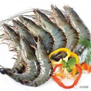 2017�r����鿴�q���Bֳ���ӹ�Ŀ��۽�Խ�Ϻ��Ї�