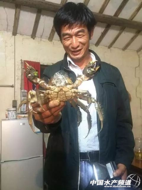 �|̫����з������Σ����s���귀(w��n)ٍ20�f����ʲô׌��ֱͦ�����壿