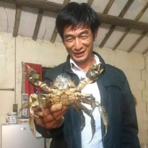 �|̫����з������������s���귀ٍ20�f����ʲô׌��ֱͦ�����壿