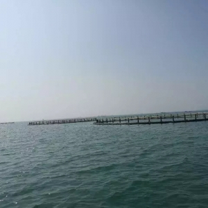 2017�걱���Fɽ�۽��K�~���h�@���B