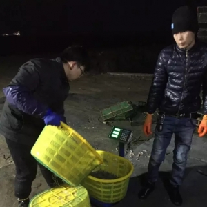 74��37�^��ÿ���a18���r�������B�r�����E