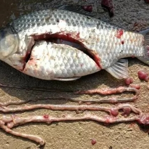 10����a�~�q��2.5Ԫ�����������Ͷ�N���@Щ�~�N�x�������˽��