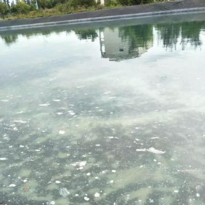 �e���Mˮ�����򣬮��r����ˮ�س��F��ɫ�Ҹ����_��֪����ô̎��?