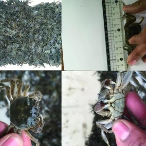 з���x��֪���٣����_�x�硢���磬�Bз�a����Ч���󷭱���