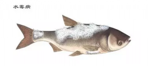 �A�|���A�е�һ���~���ڱ��l(f��)���@Щ���ű��~��ʧ��Ո(q��ng)���պ�