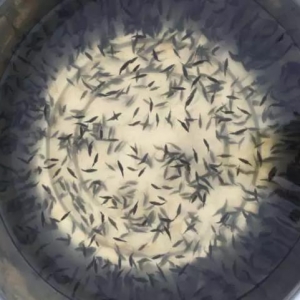 ����΢����3��9��ȫ�����~��Ҫ�Bֳ�^������r