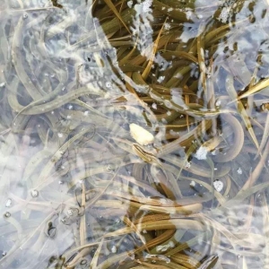 2016���S�X�a(ch��n)�I(y��)��(b��o)��| �B(y��ng)ֳ��2.4�f(w��n)�����Ј�(ch��ng)����300�f(w��n)�����̙C(j��)���ģ�