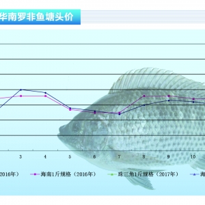 �_���~���ӹ��S���~�� ���w�~�r(ji��)څ��(w��n)������ˮ�a(ch��n)ǰ�ء�2017��3�¿��Ј�(ch��ng)څ��(sh��)