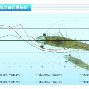 ��(du��)�r����(ji��)����p�� �r�r(ji��)�ʵ���(sh��)������ˮ�a(ch��n)ǰ�ء�2017��3�¿��Ј�(ch��ng)څ��(sh��)